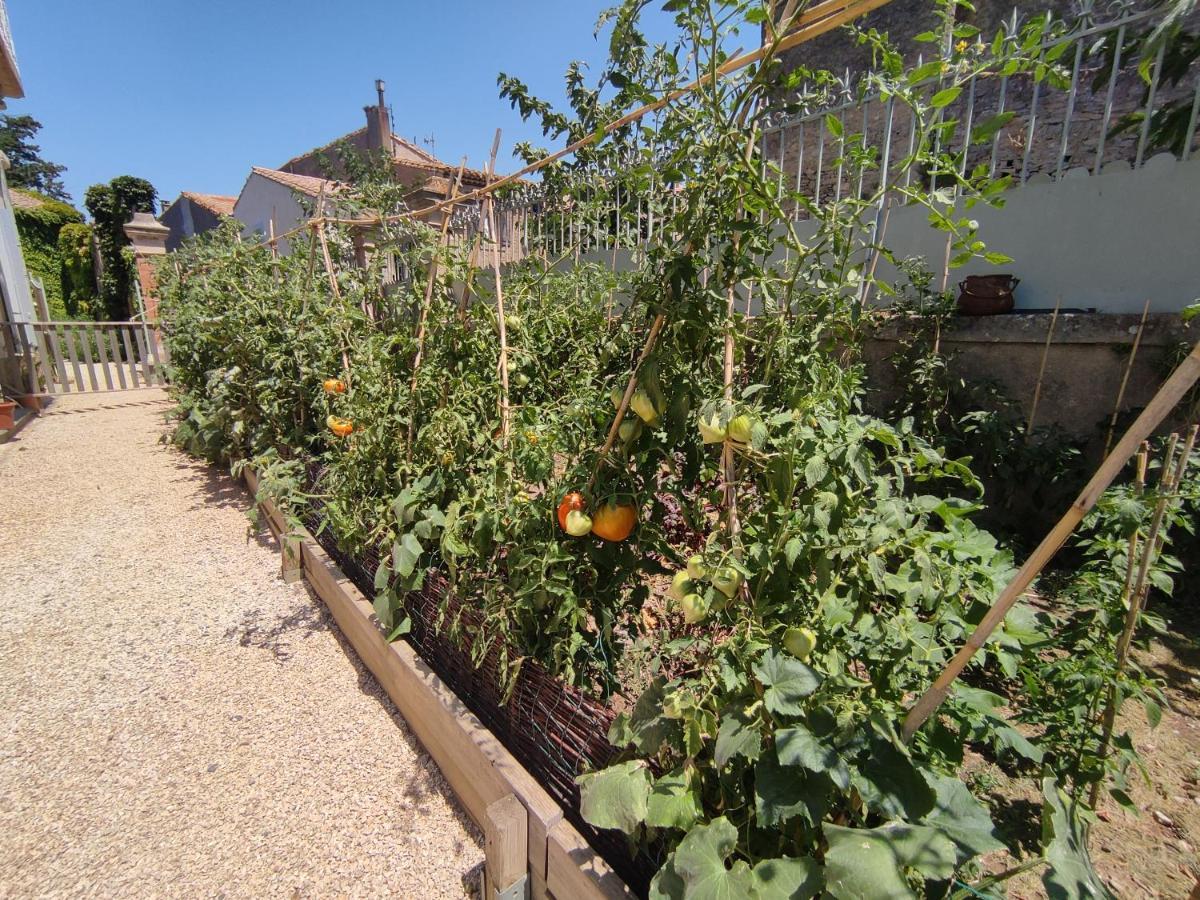 The Cottage, Clos Des Archers Aigues-Vives エクステリア 写真